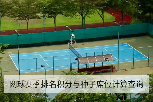 网球赛季排名积分与种子席位计算查询